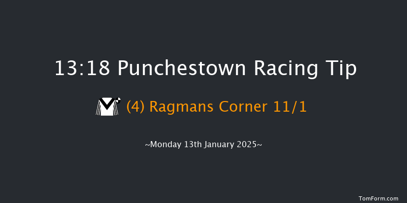 Punchestown  13:18 Handicap Hurdle 16f Sun 12th Jan 2025