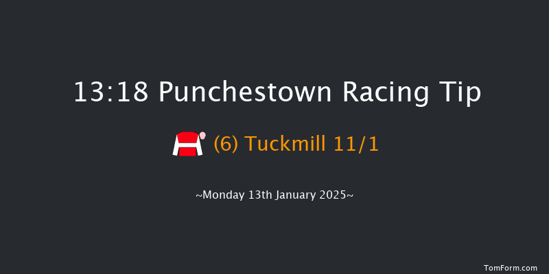 Punchestown  13:18 Handicap Hurdle 16f Sun 12th Jan 2025
