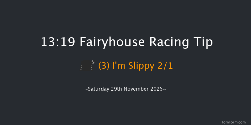 Fairyhouse 13-19 (Class 1) 16f Fri 21st Nov 2025