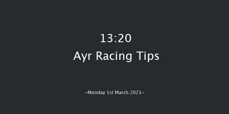 Western House Hotel Staycation Maiden Hurdle (GBB Race) Ayr 13:20 Maiden Hurdle (Class 4) 20f Mon 18th Jan 2021