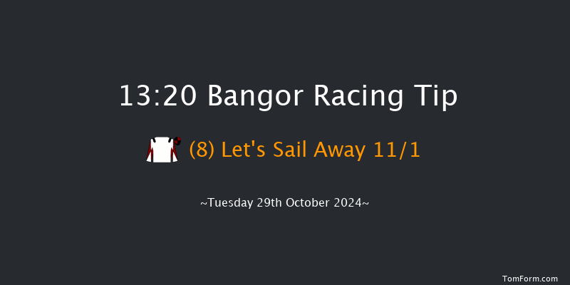 Bangor-on-dee  13:20 Maiden Hurdle (Class 3)
17f Fri 6th Sep 2024