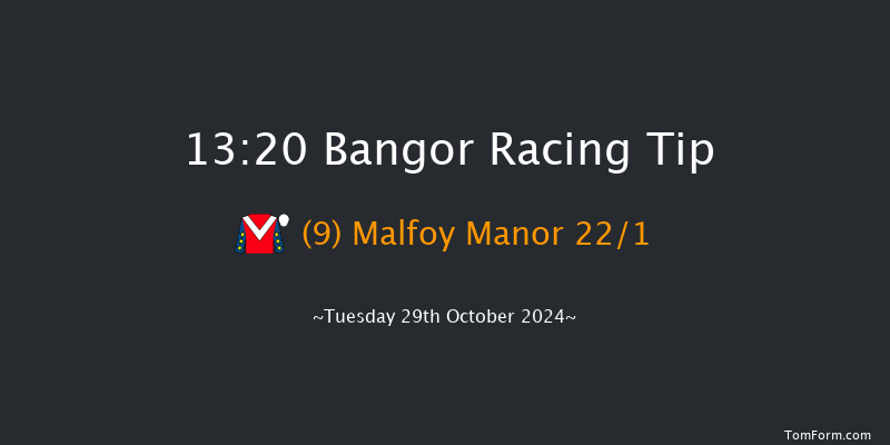 Bangor-on-dee  13:20 Maiden Hurdle (Class 3)
17f Fri 6th Sep 2024