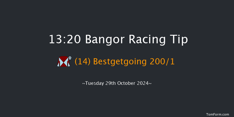Bangor-on-dee  13:20 Maiden Hurdle (Class 3)
17f Fri 6th Sep 2024