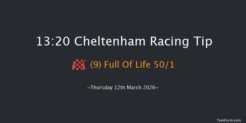 Cheltenham 13-20 (Class 1) 16f Wed 11th Mar 2026