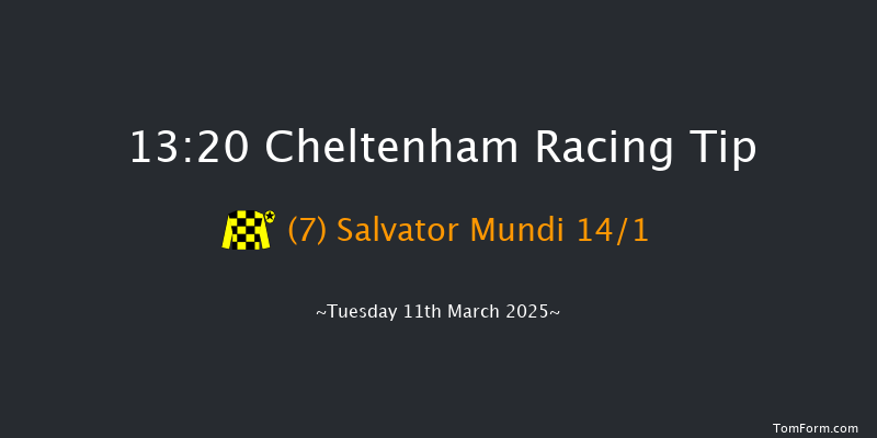 Cheltenham  13:20 Novices Hurdle (Class 1) 16f Sat 25th Jan 2025