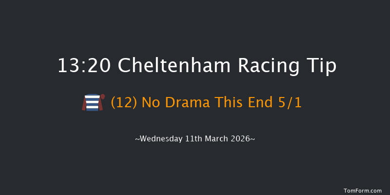 Cheltenham 13-20 (Class 1) 21f Tue 10th Mar 2026