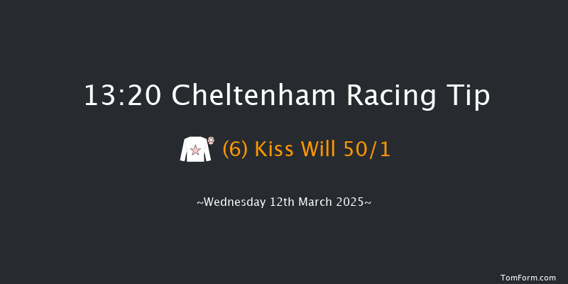 Cheltenham  13:20 Novices Hurdle (Class 1) 21f Tue 11th Mar 2025