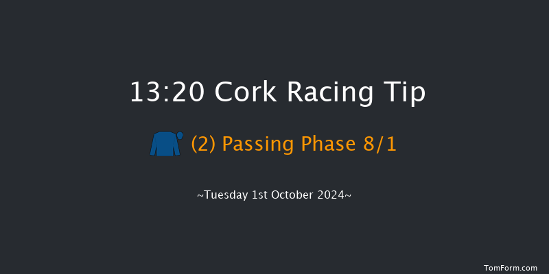 Cork  13:20 Maiden 5f Wed 11th Sep 2024