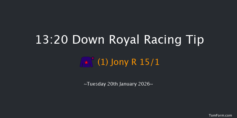 Down Royal 13-20 17f Fri 26th Dec 2025