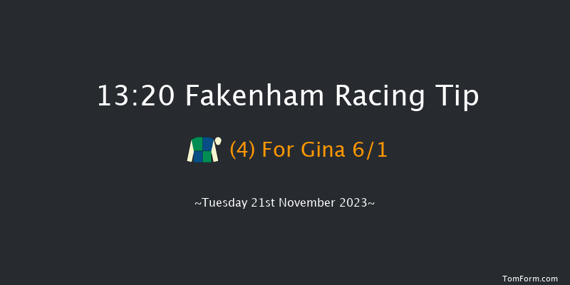 Fakenham 13:20 Handicap Hurdle (Class 5) 23f Mon 13th Nov 2023