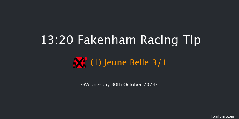 Fakenham  13:20 Handicap Chase (Class 4) 21f Fri 18th Oct 2024