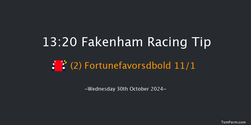 Fakenham  13:20 Handicap Chase (Class 4) 21f Fri 18th Oct 2024