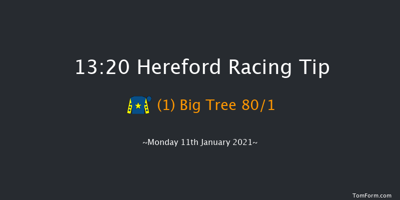 foxtrotracing.com Affordable Racehorse Ownership Novices' Handicap Hurdle (GBB Race) Hereford 13:20 Handicap Hurdle (Class 4) 26f Thu 17th Dec 2020
