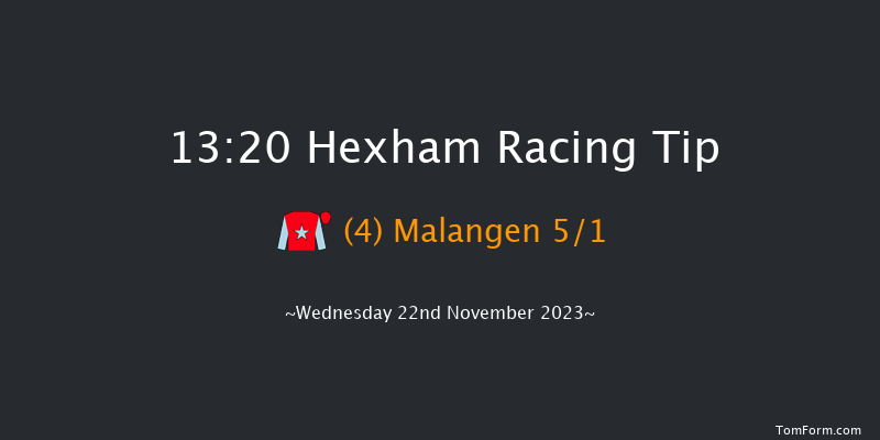 Hexham 13:20 Handicap Hurdle (Class 4) 16f Fri 10th Nov 2023