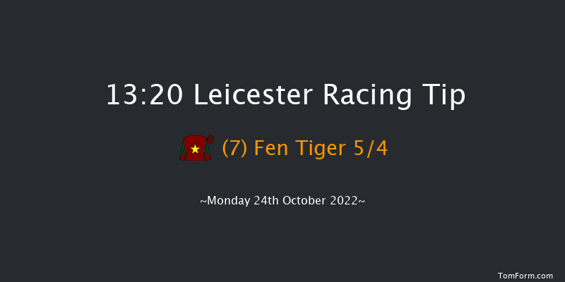 Leicester 13:20 Handicap (Class 6) 12f Tue 11th Oct 2022