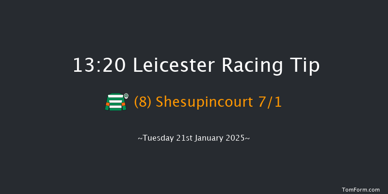 Leicester  13:20 Handicap Hurdle (Class 5) 20f Sat 28th Dec 2024