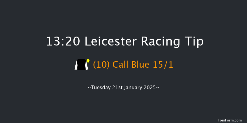 Leicester  13:20 Handicap Hurdle (Class 5) 20f Sat 28th Dec 2024