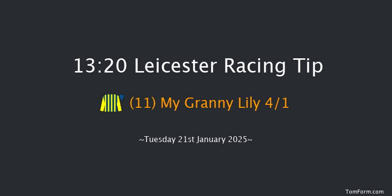 Leicester  13:20 Handicap Hurdle (Class 5) 20f Sat 28th Dec 2024