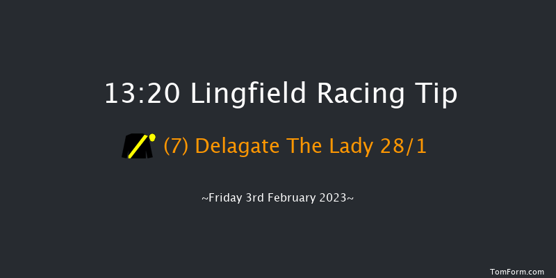 Lingfield 13:20 Handicap (Class 6) 7f Tue 31st Jan 2023