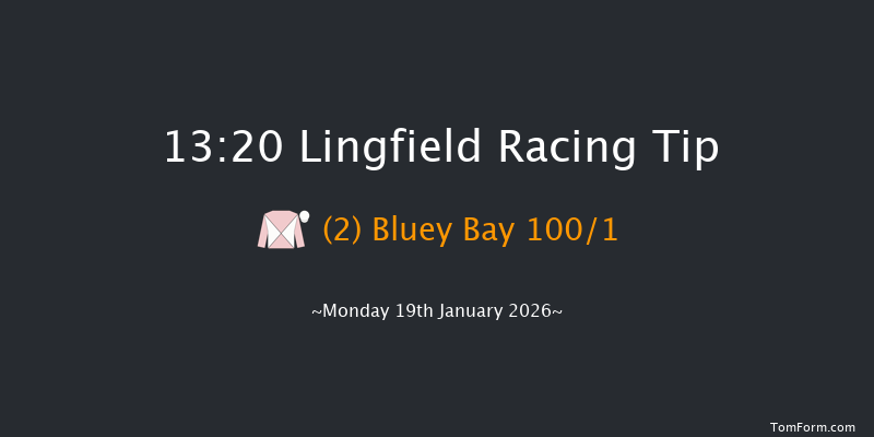 Lingfield 13-20 (Class 4) 16f Sat 17th Jan 2026