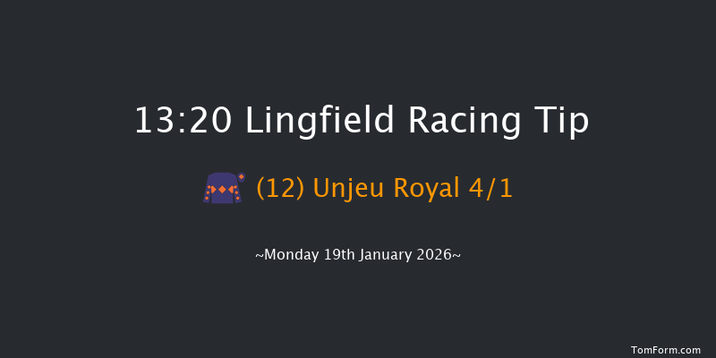 Lingfield 13-20 (Class 4) 16f Sat 17th Jan 2026