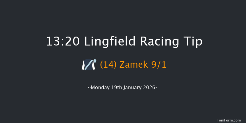 Lingfield 13-20 (Class 4) 16f Sat 17th Jan 2026