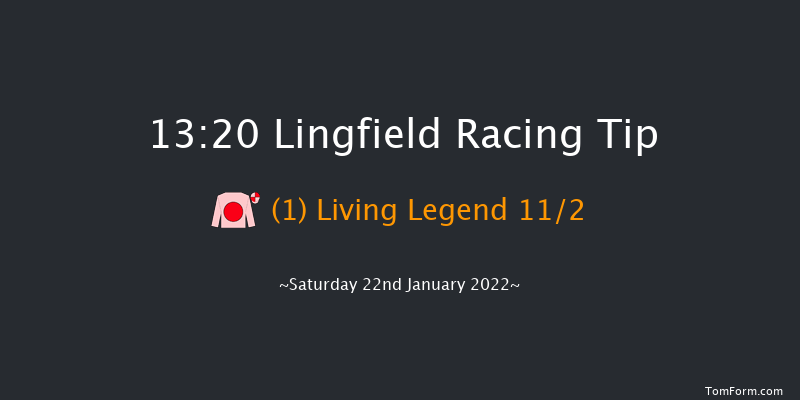 Lingfield 13:20 Handicap (Class 2) 12f Fri 21st Jan 2022