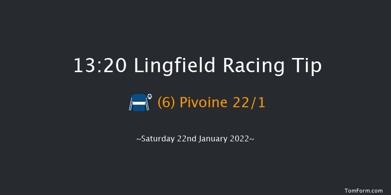 Lingfield 13:20 Handicap (Class 2) 12f Fri 21st Jan 2022