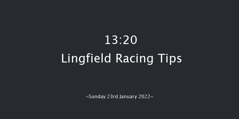 Lingfield 13:20 Novices Hurdle (Class 2) 23f Sat 22nd Jan 2022