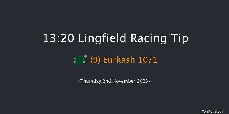Lingfield 13:20 Handicap Chase (Class 5) 24f Wed 1st Nov 2023