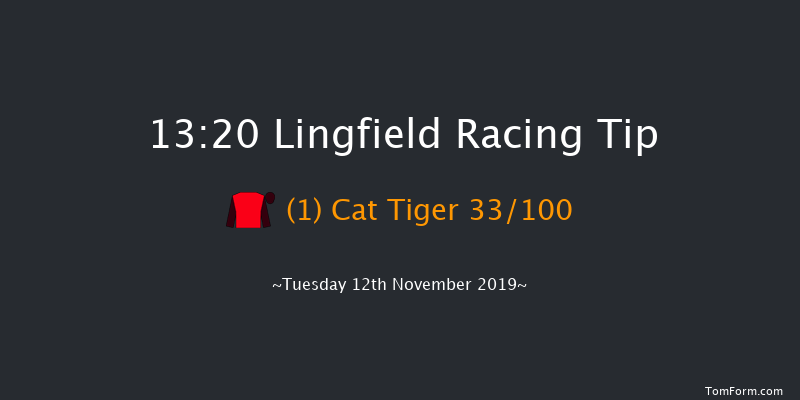 Lingfield 13:20 Maiden Hurdle (Class 3) 20f Thu 31st Oct 2019
