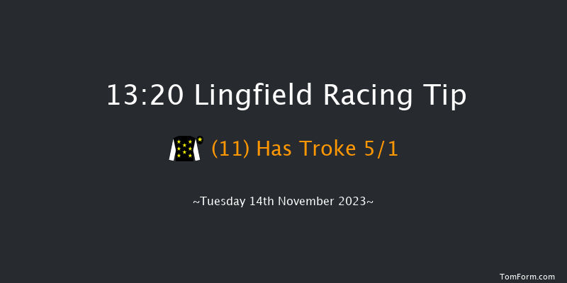 Lingfield 13:20 Handicap Chase (Class 4) 20f Tue 7th Nov 2023