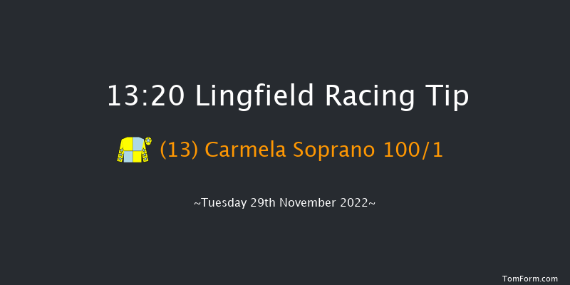 Lingfield 13:20 Handicap (Class 6) 10f Thu 24th Nov 2022