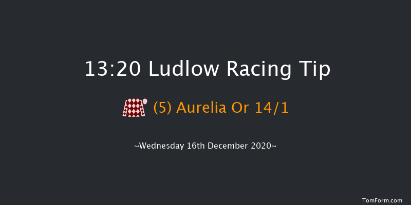 Warwick Woodhall EBF Mares' 'National Hunt' Novices' Hurdle (GBB Race) Ludlow 13:20 Novices Hurdle (Class 4) 21f Wed 2nd Dec 2020
