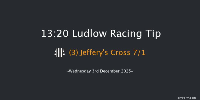 Ludlow 13-20 (Class 3) 25f Mon 24th Nov 2025