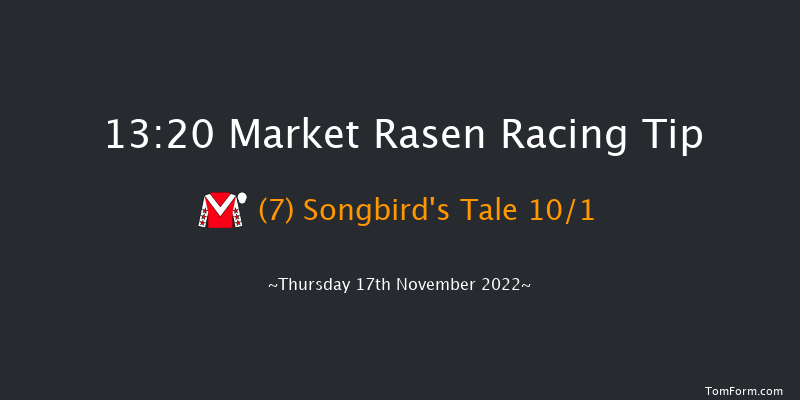 Market Rasen 13:20 Handicap Hurdle (Class 4) 23f Thu 10th Nov 2022