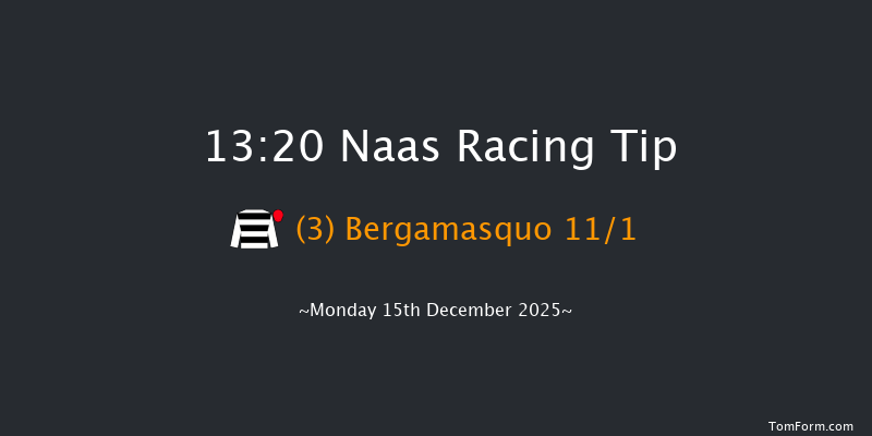Naas 13-20 19f Sun 9th Nov 2025