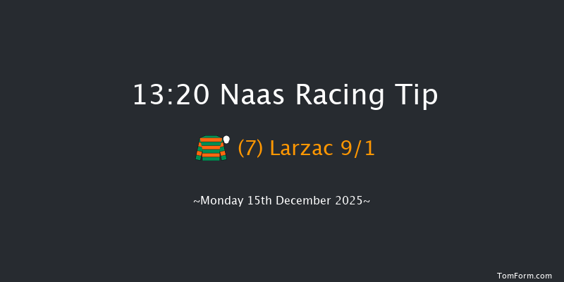 Naas 13-20 19f Sun 9th Nov 2025