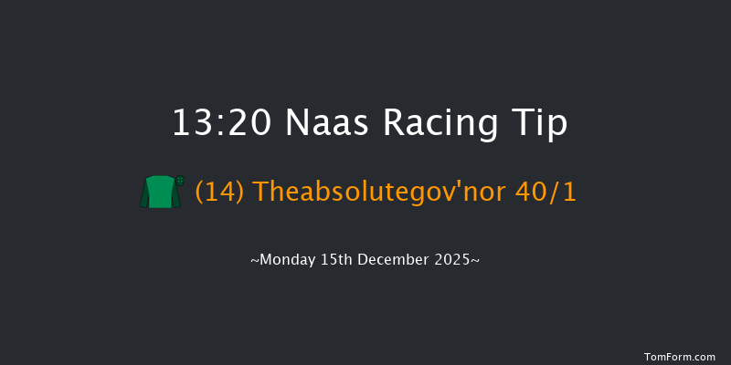 Naas 13-20 19f Sun 9th Nov 2025
