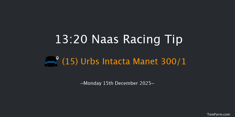 Naas 13-20 19f Sun 9th Nov 2025