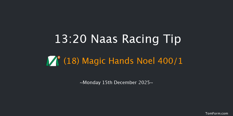 Naas 13-20 19f Sun 9th Nov 2025
