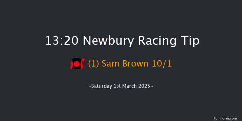 Newbury  13:20 Handicap Chase (Class 2) 26f Fri 28th Feb 2025