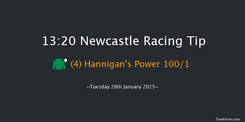 Newcastle  13:20 Maiden (Class 5) 16f Sat 25th Jan 2025