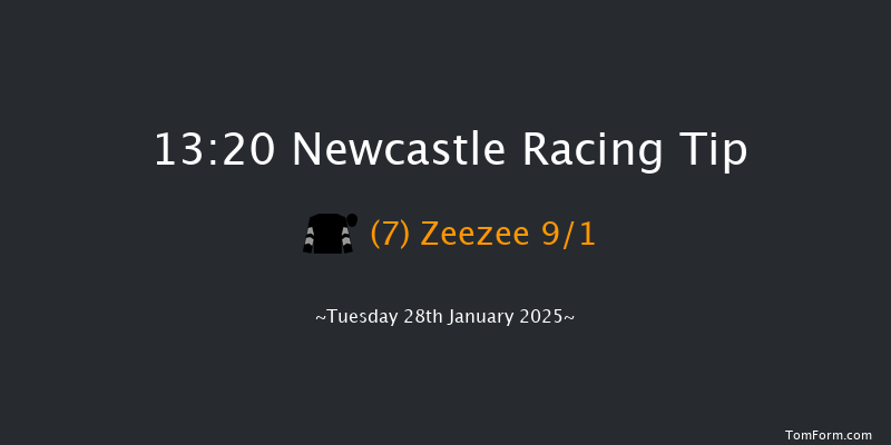 Newcastle  13:20 Maiden (Class 5) 16f Sat 25th Jan 2025