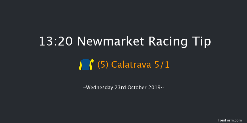 Newmarket 13:20 Stakes (Class 4) 7f Sat 12th Oct 2019
