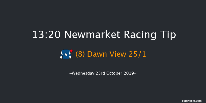 Newmarket 13:20 Stakes (Class 4) 7f Sat 12th Oct 2019
