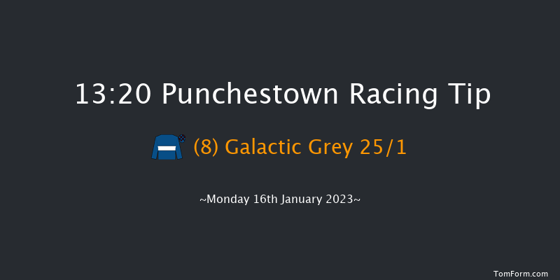 Punchestown 13:20 Handicap Hurdle 16f Sun 15th Jan 2023