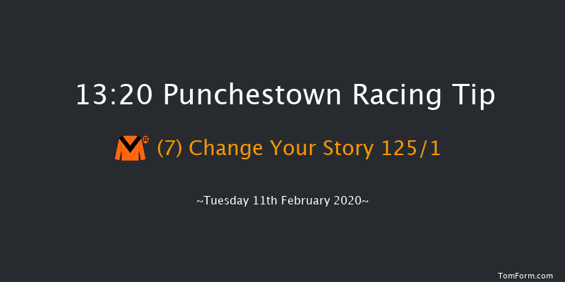 P.P. Hogan Memorial Cross Country Chase Punchestown 13:20 Conditions Chase 25f Wed 15th Jan 2020