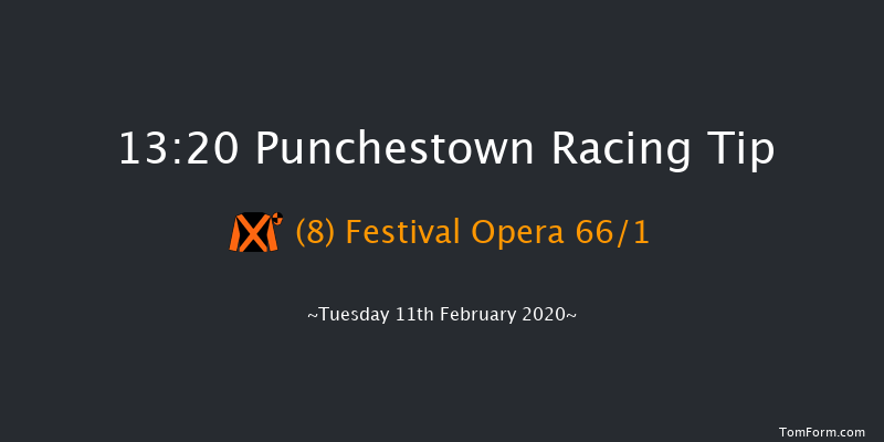 P.P. Hogan Memorial Cross Country Chase Punchestown 13:20 Conditions Chase 25f Wed 15th Jan 2020