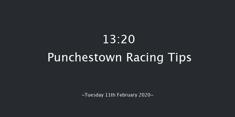 P.P. Hogan Memorial Cross Country Chase Punchestown 13:20 Conditions Chase 25f Wed 15th Jan 2020
